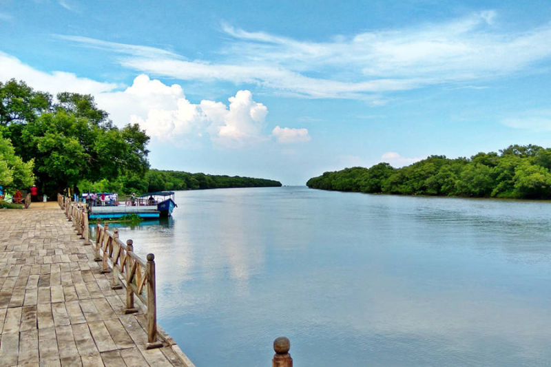 Mada Forest Boating
