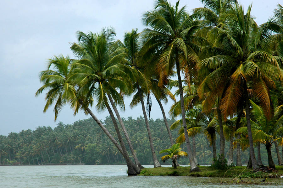 Konaseema Sightseeing
