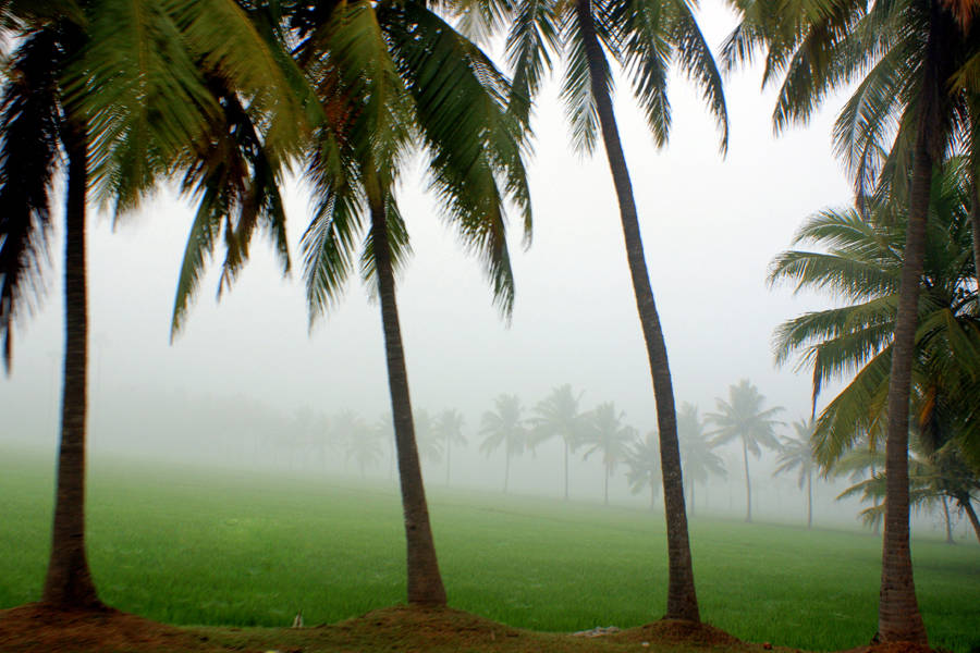 Konaseema Sightseeing