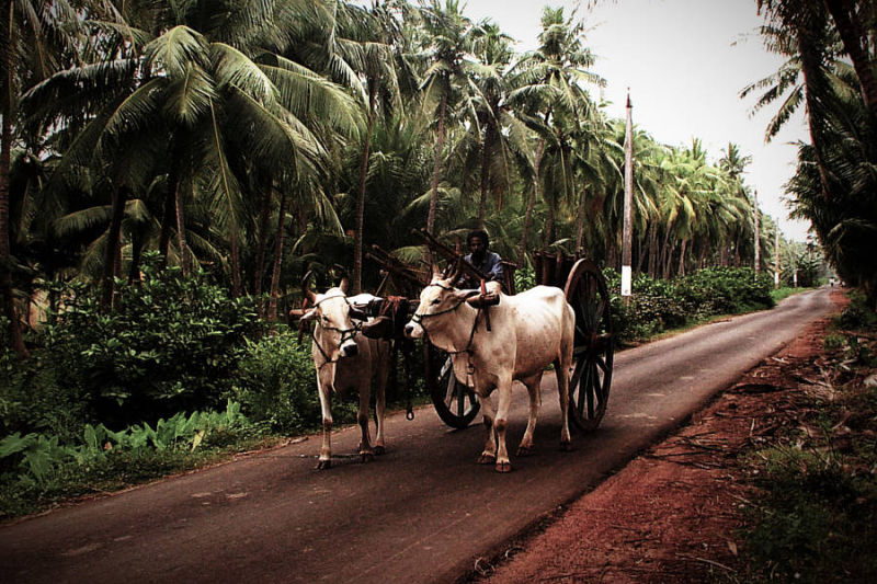 Konaseema Villages