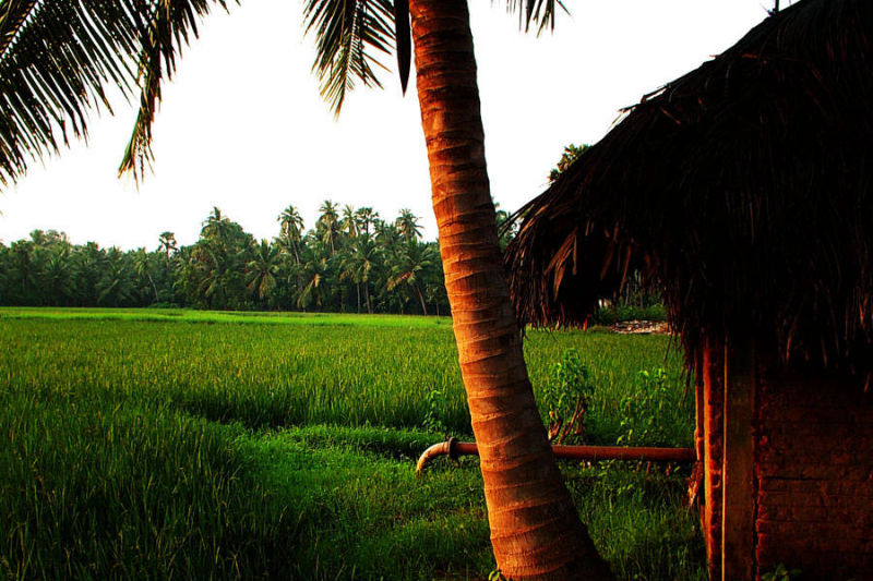 Konaseema Sightseeing