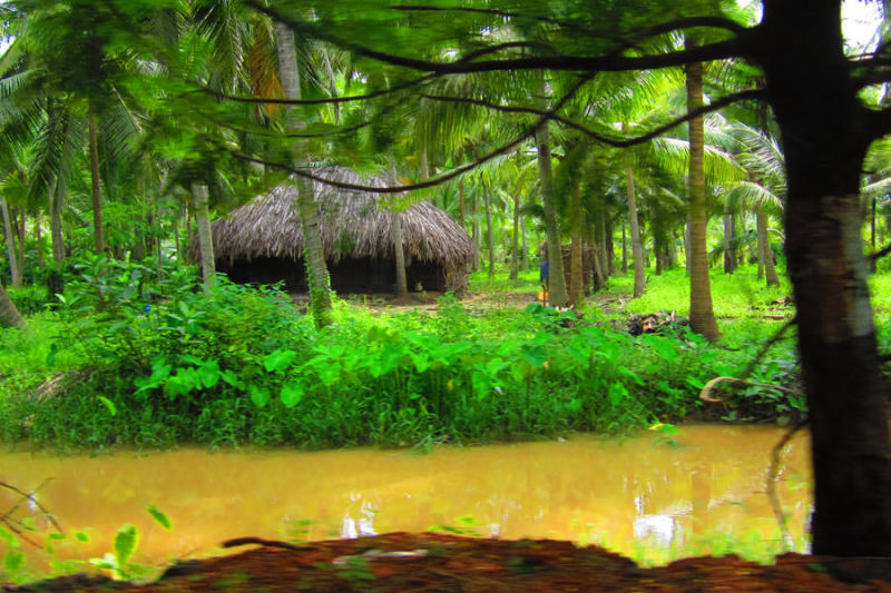 Konaseema Sightseeing