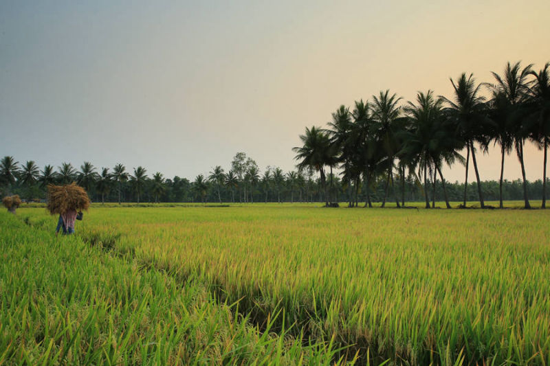 Konaseema Sightseeing