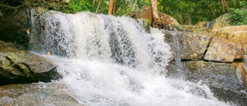 Maredumilli Tour Packages