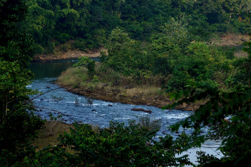 Maredumilli Waterfalls