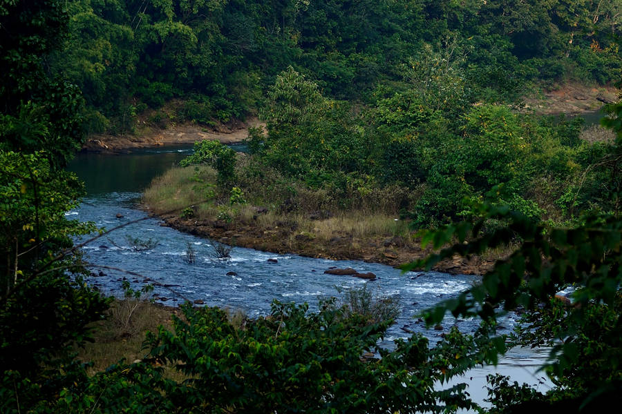 Maredumilli Waterfalls