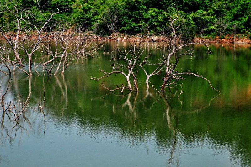 Bhupathipalem Project