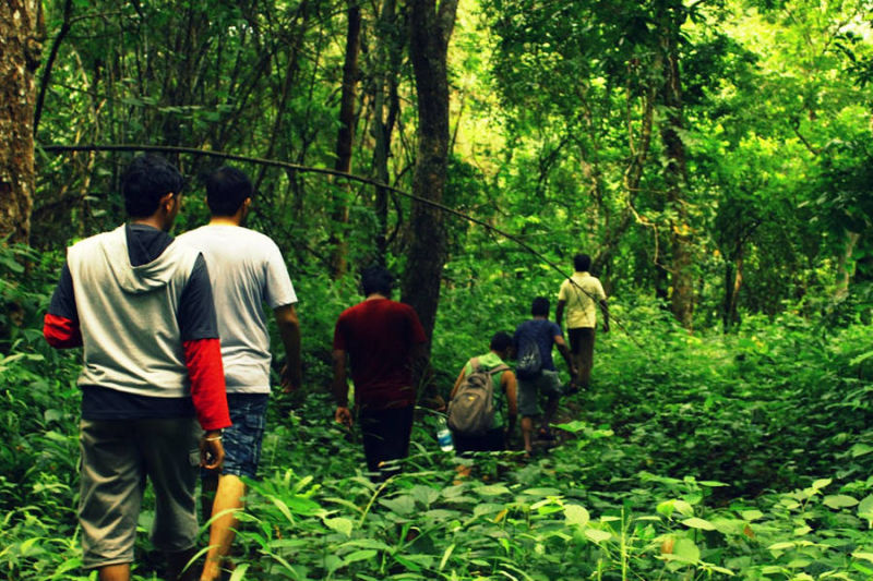 Forest Trekking In Maredumilli