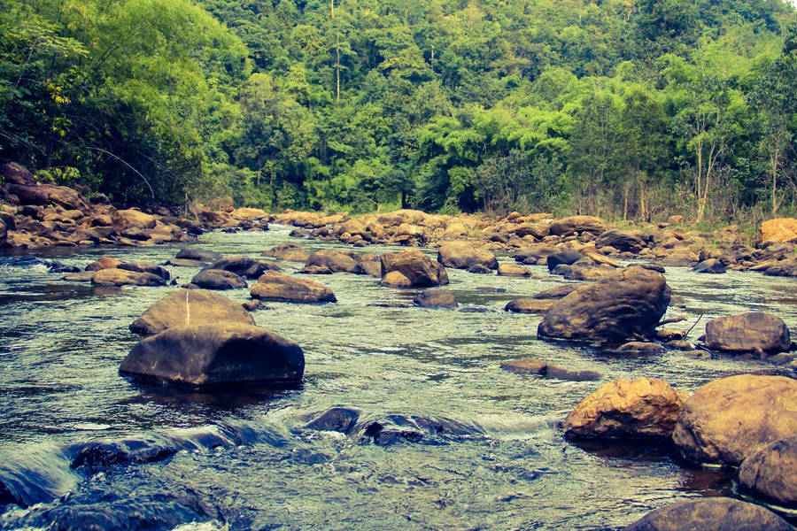 Maredumilli Waterfalls