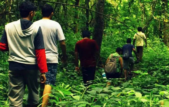 Jungle Trekking